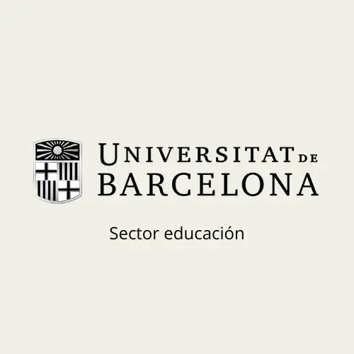 universitat barcelona SEO the digital searchers